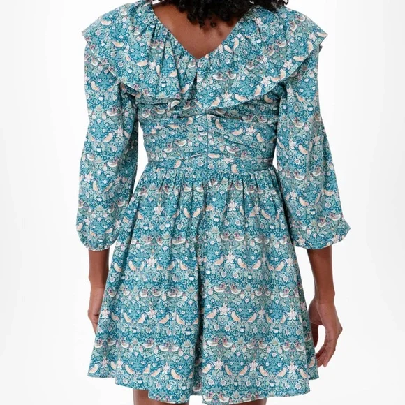 Tuckernuck Hyacinth House Ruffle Collar Birdsong Mini Dress - Picture 2 of 7